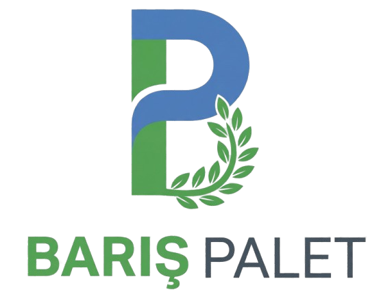 Barış Palet Logo